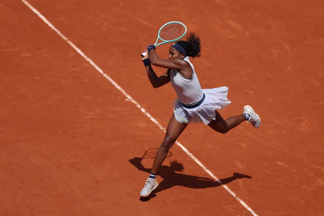 成功归化的 成功归化的